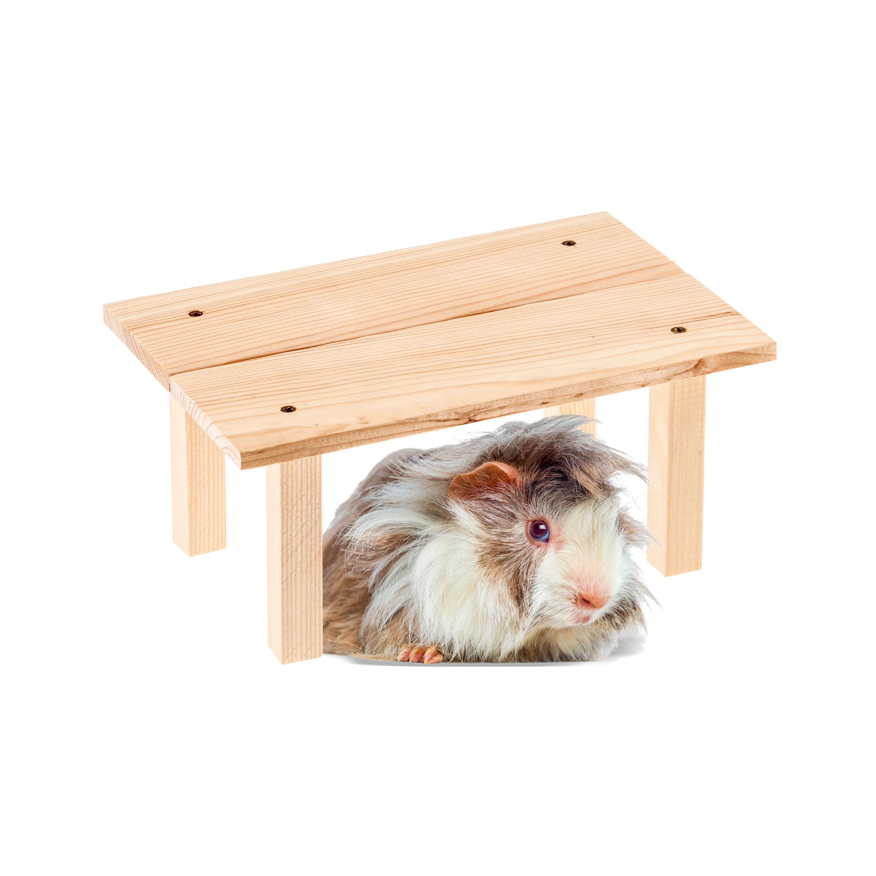 ARCADE TABLE Gioco in legno per piccoli animali - Image 5