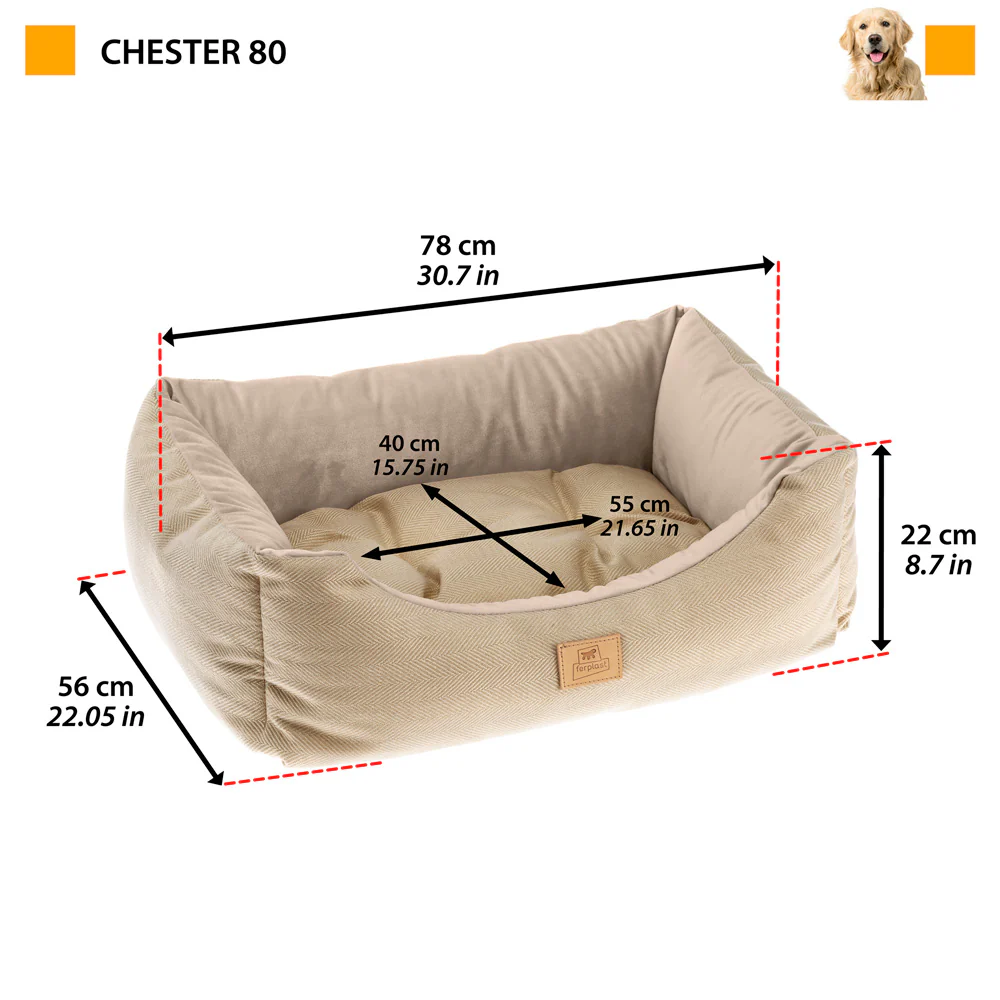 CHESTER - Image 14