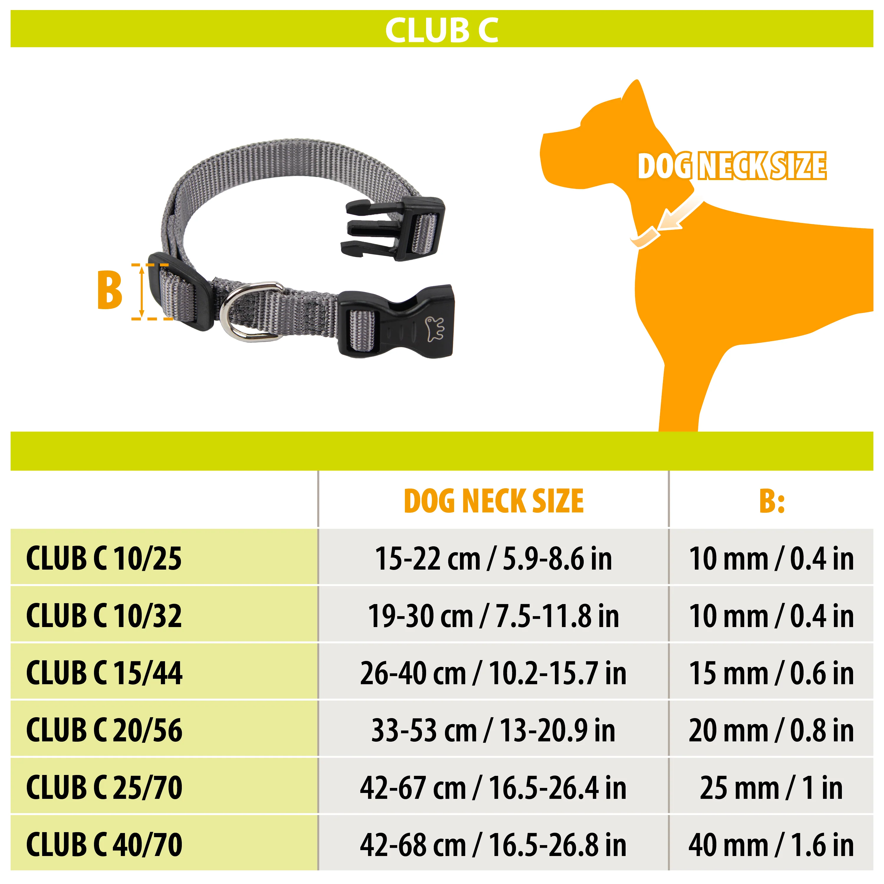 CLUB C - Image 9