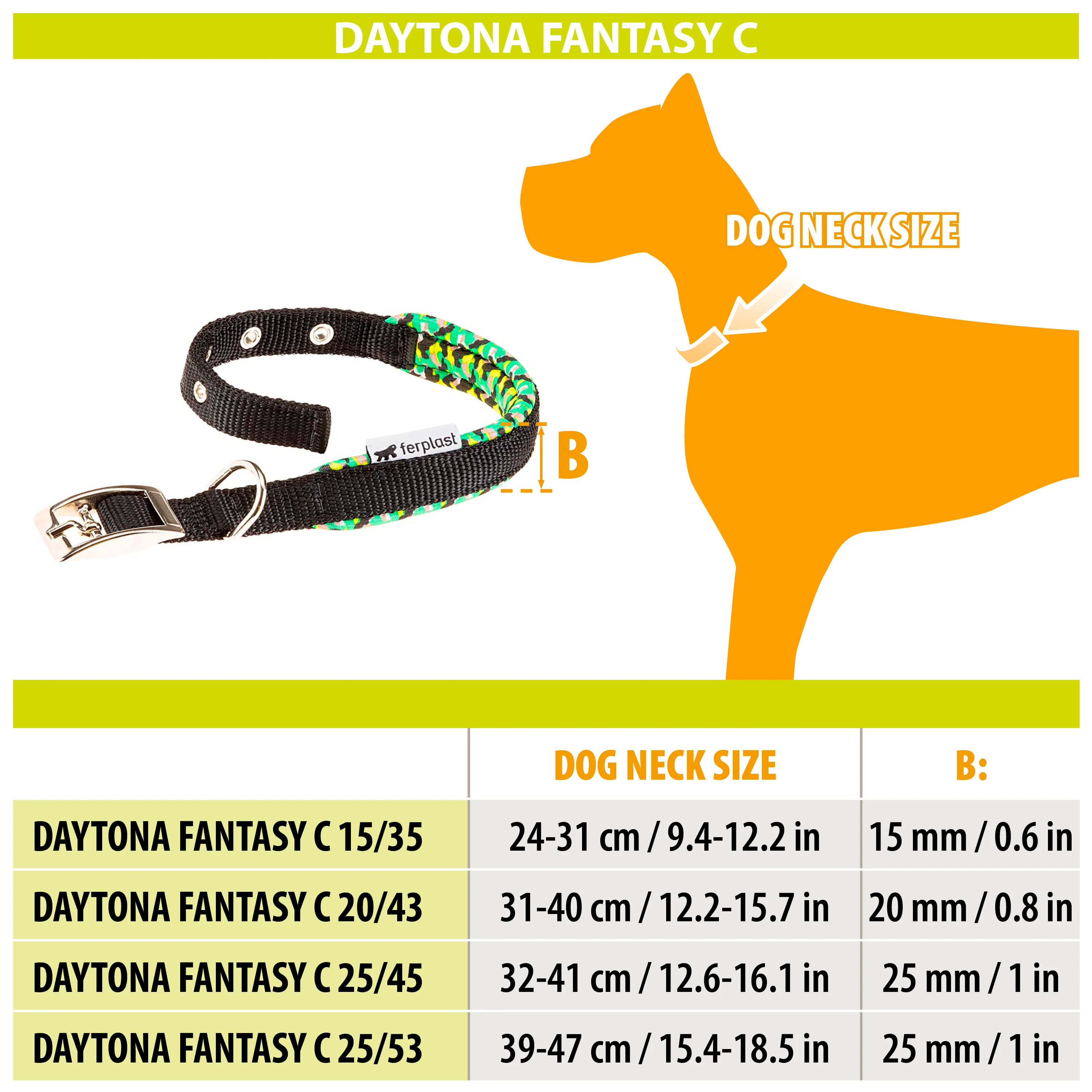 DAYTONA FANTASY C - Image 2
