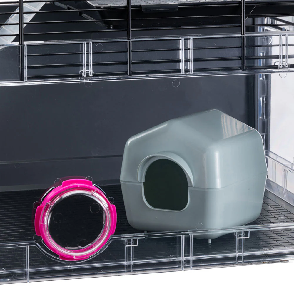 MULTIPLA HAMSTER - Image 8